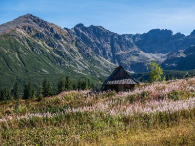 Dağlarda eski ahşap yazlık