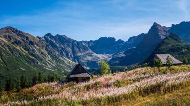 Dağlarda eski ahşap yazlık