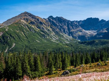 Polonya Tatra dağlarının sonbahar manzarası