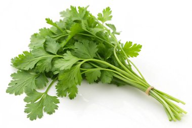 Maydanoz beyazda izole