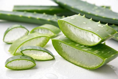 Beyaz arka plan üzerinde aloe vera taze yaprakları