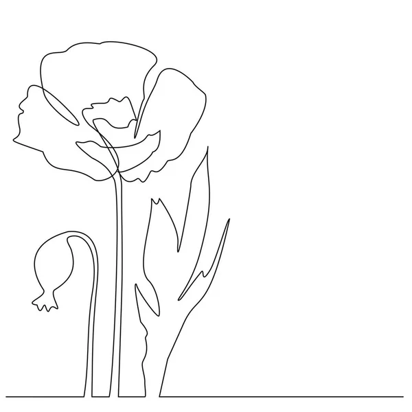 Doorlopende lijn Poppy bloem. Één regel — Stockvector