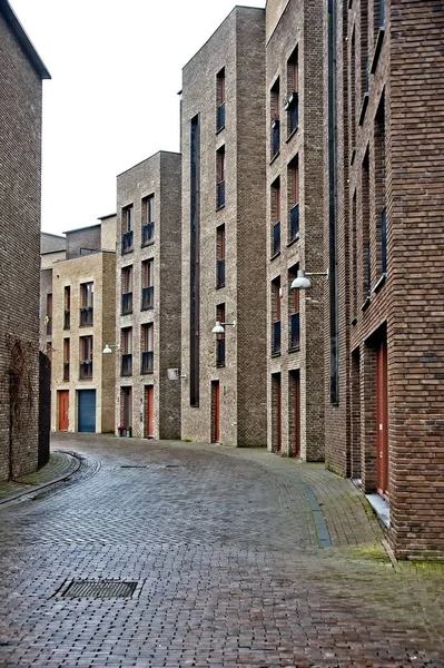 Housing buildings and wet paved empty street in Netherlands