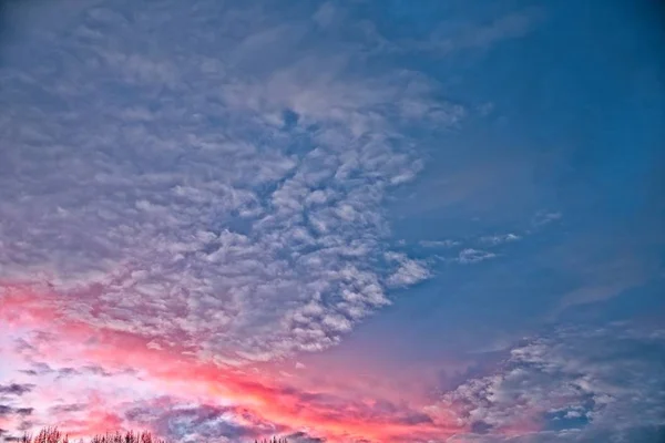 Rosa Flauschige Dramatische Morgenwolken Blauen Himmel Mit Ein Bisschen Baumgrenze — Stockfoto