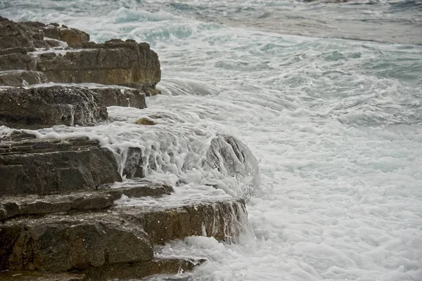 Rock Shore South Istria Croatia National Park Kamenjak — Stock Photo, Image