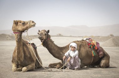 AL Safen, Oman, April 27, 2018: Bedouin boy standing with camels in Omani countryside. clipart
