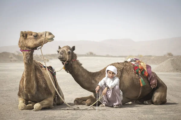 Safen Oman April 2018 Beduinenjunge Steht Mit Kamelen Der Landschaft — Stockfoto