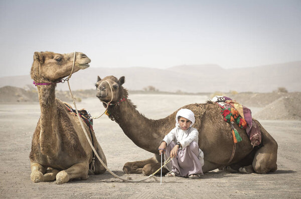 AL Safen, Oman, April 27, 2018: Bedouin boy standing with camels in Omani countryside.