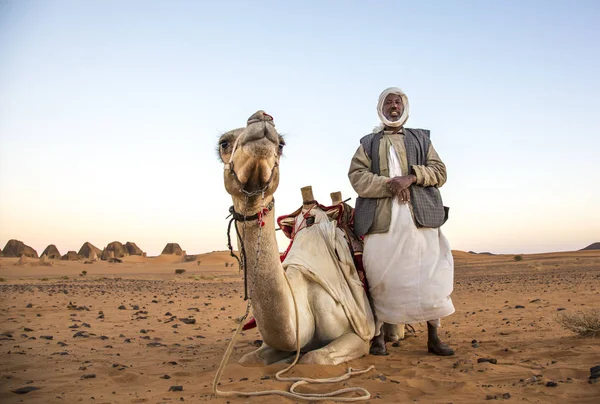 Meroe 金字塔 第十九 2015年12月 一个人与他的骆驼在沙漠中 — 图库照片