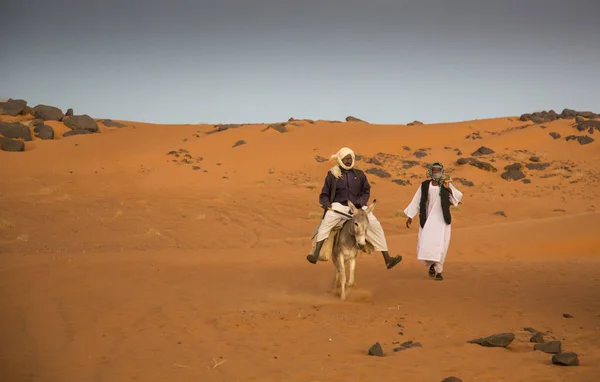 Meroe 金字塔 第十九 2015年12月 一个人与他的驴子在沙漠里 — 图库照片