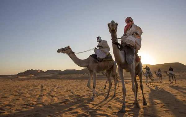 Meroe Pyramiderna Sudan December 2015 Sudanesiska Män Sina Kameler Öken — Stockfoto