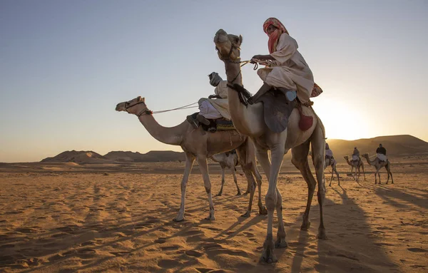 Пирамиды Мероэ Судан Декабря 2015 Суданские Мужчины Верблюдах Пустыне Судана — стоковое фото