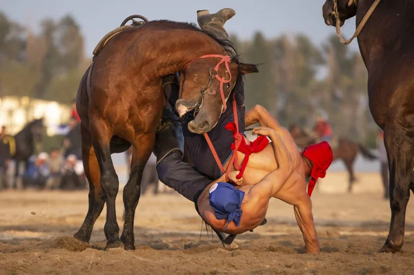 Sjön Issyk Kul Kirgizistan September 2018 Män Brottning Hästryggen — Stockfoto