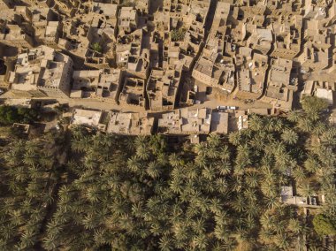 Eski şehir Al Hamra ve tarihi plantasyon Umman