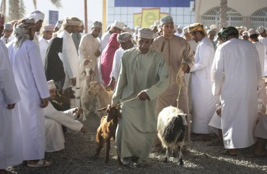 Nizwa, Umman, 21 Eylül 2018: bir markette alış ve satış olarak geleneksel habta ihale keçi omani erkekler