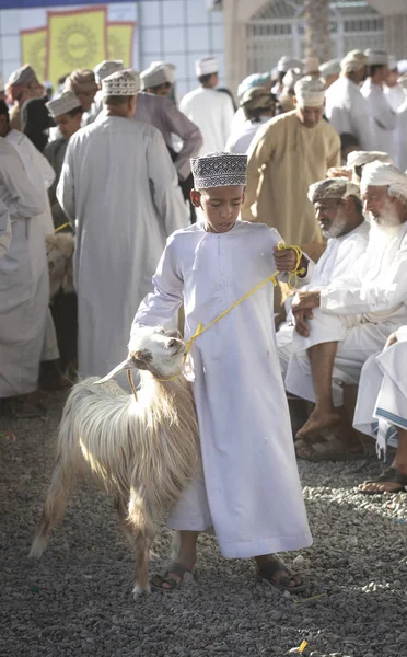 Nizwa Omán Septiembre 2018 Hombres Omani Mercado Comprando Vendiendo Cabras —  Fotos de Stock