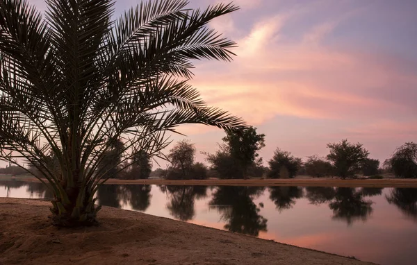 Salida Del Sol Reserva Del Lago Qudra Cerca Dubai —  Fotos de Stock