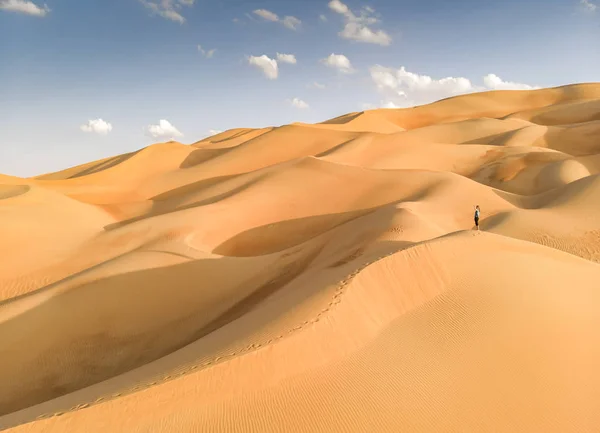 Aerial View Liwa Desert Abu Dhabi Person Standing Middle Dunes — Stock Photo, Image