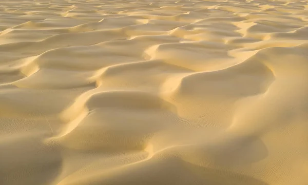 アブダビ リワ砂漠の砂砂丘のフルフレーム ショット — ストック写真