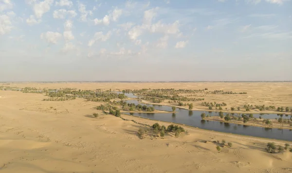 Luchtfoto Van Prachtige Woestijn Met Qudra Lake Bomen Verenigde Arabische — Stockfoto