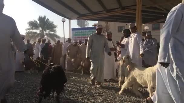 Nizwa 2017 6月23日 男子在 Nizwa 传统的 Habta 市场每周五出售和购买山羊 — 图库视频影像