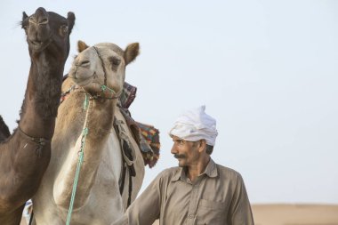 Madinat Zayed, Birleşik Arap Emirlikleri - 15 Aralık 2017: üst düzey Arap adam milyon nerede deve satın aldı ve satılan Street onun deve ile