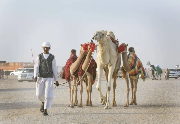 Madinat Zayed Emirati Arabi Uniti Dicembre 2017 Arabo Con Suo — Foto Stock