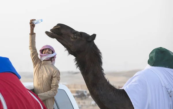 Madinat Zayed Verenigde Arabische Emiraten December 2017 Bedouin Man Biedt — Stockfoto