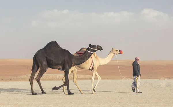 Madinat Zayed Zjednoczone Emiraty Arabskie Grudnia 2017 Arab Człowiek Jego — Zdjęcie stockowe