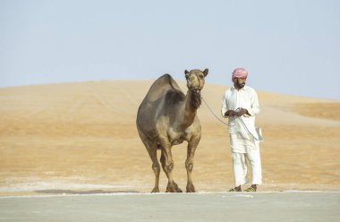 Madinat Zayed, Birleşik Arap Emirlikleri - 22 Aralık, 2018: Bedevi milyon Street (yol nerede deve satılan ve satın çölde deve onun konumu olan)