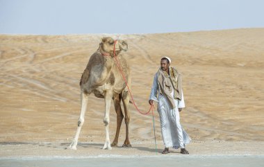 Madinat Zayed, Birleşik Arap Emirlikleri - 22 Aralık, 2018: Bedevi milyon Street (yol nerede deve satılan ve satın çölde deve onun konumu olan)