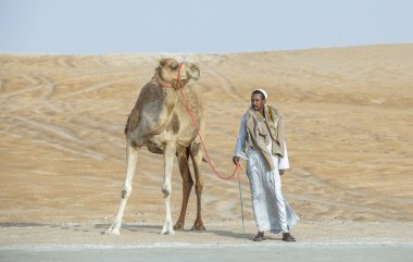 Madinat Zayed, United Arab Emirates - 22nd December, 2018: bedouin with his camel standing at Million Street (road in desert where camels get sold and bought) clipart
