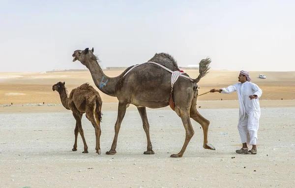 Madinat Zayed Émirats Arabes Unis Décembre 2018 Homme Avec Ses — Photo