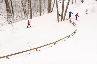 Tallinn, Estonya - 5 Şubat 2019: insanların ormanda kış gün boyunca Kayak