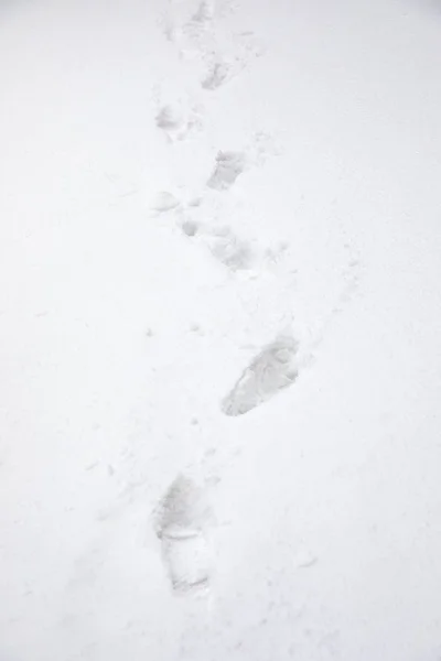 Zbliżenie Ślady Snow Biały — Zdjęcie stockowe