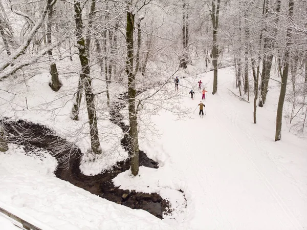 Tallin Estonia Lutego 2019 Ludzie Nartach Lesie Podczas Zimowych Dni — Zdjęcie stockowe