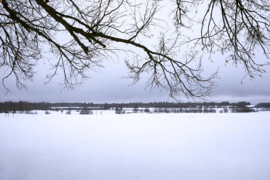 Lahemaa Milli Parkı Estonya kış manzarası