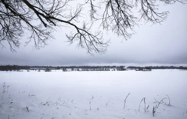 Zima Krajobraz Parku Narodowego Lahemaa Estonii — Zdjęcie stockowe