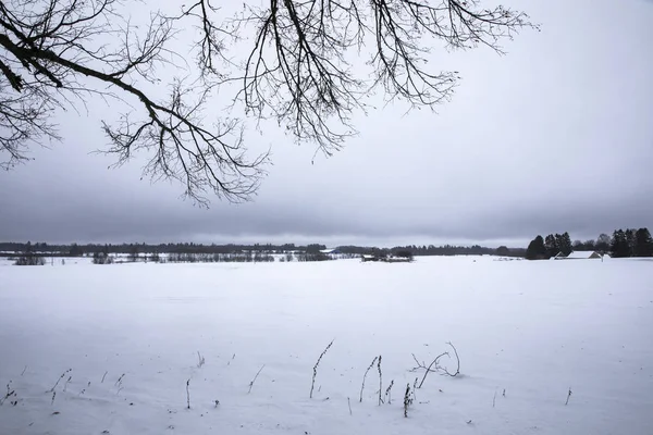 Zima Krajobraz Parku Narodowego Lahemaa Estonii — Zdjęcie stockowe