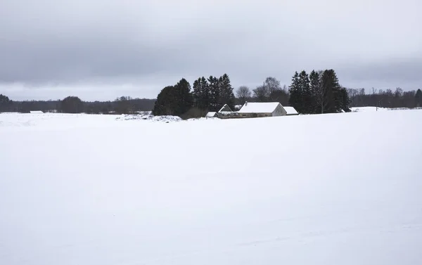 Paesaggio Invernale Nel Parco Nazionale Lahemaa Estonia — Foto Stock