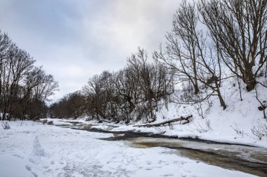 Tallinn, Estonya yakınındaki jagala şelale bulutlu kış gününde dondurulmuş