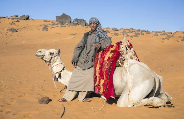 苏丹梅罗 2015年12月19日 快乐的苏丹男孩与他的骆驼在沙漠中 — 图库照片
