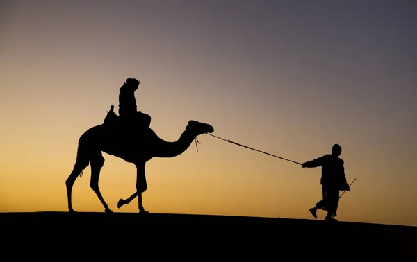 Meroe Pyramiden Sudan Dezember 2015 Mann Reitet Kamel Bei Sonnenaufgang — Stockfoto