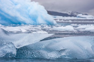 Buzdağı Antarktika sularında yakınındaki Island Güney Georgia