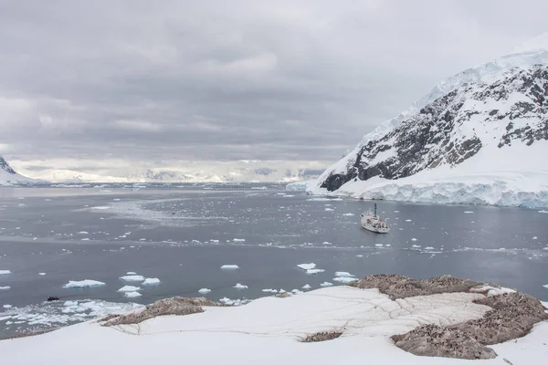 Marinmålning Antarktiska Halvön Fläsk Aftons — Stockfoto