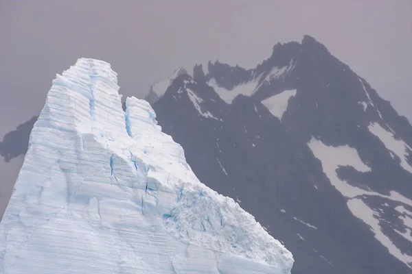 Icebergs Águas Antárticas Perto Ilha Geórgia Sul — Fotografia de Stock