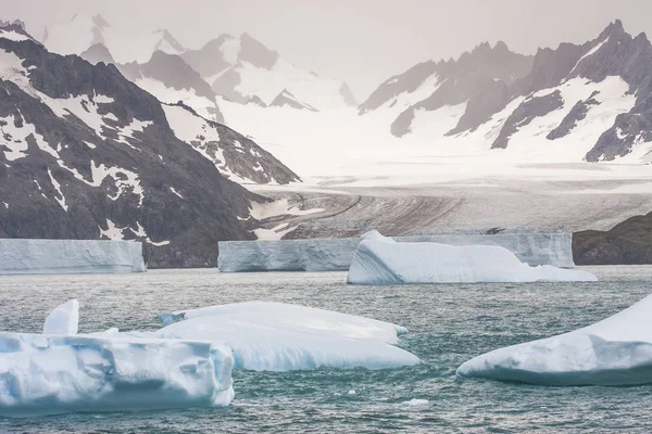 Ijsbergen Antarctische Wateren Buurt Van Eiland Van Zuid Georgië — Stockfoto