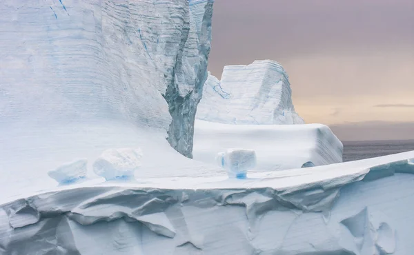 Icebergs Águas Antárticas Perto Ilha Geórgia Sul — Fotografia de Stock