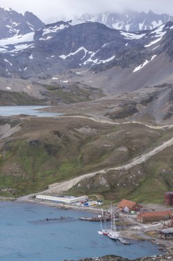  Grytviken, Güney Georgia Antarktika'daki tarihsel balina şehrin havadan görünümü
