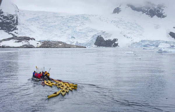 Antartide Dicembre 2008 Kayaker Preparano Viaggio Acque Antartiche — Foto Stock